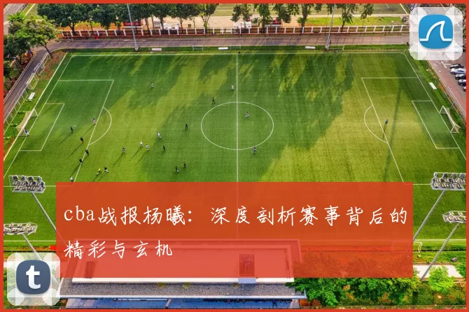 cba战报杨曦：深度剖析赛事背后的精彩与玄机